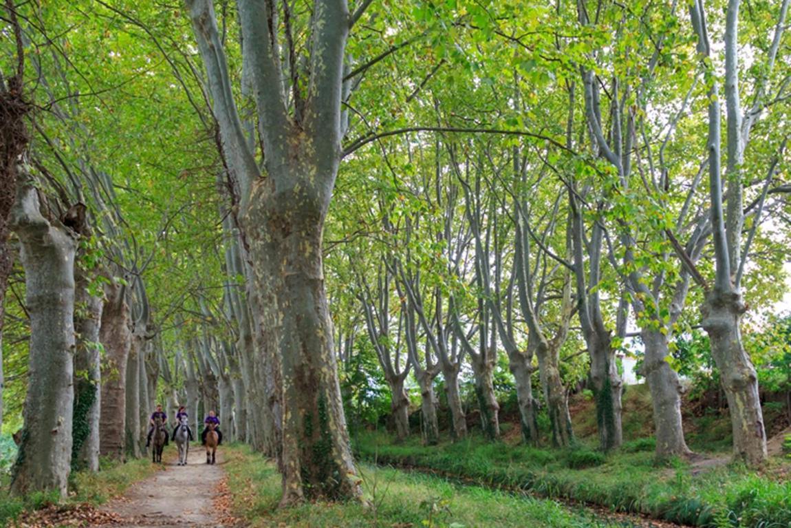 16 Chemin Des Ratequats Villa Mirepeisset Bagian luar foto